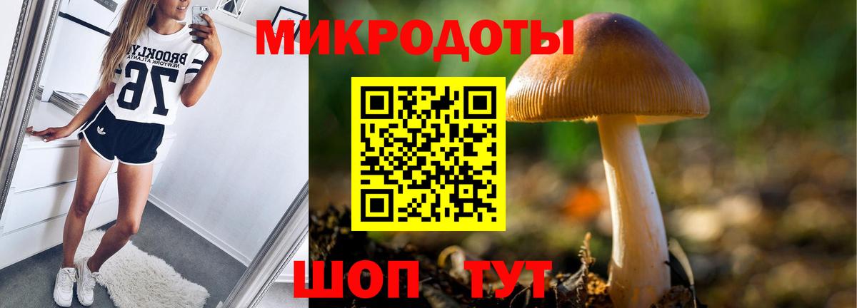 Зерноград  Псилоцибиновые грибы прущие грибы  Вход с VPN 